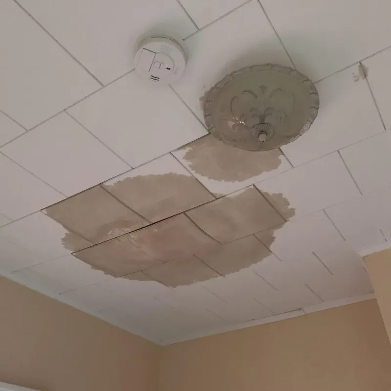 Ceiling Water Damage Repair in Pearl River, LA